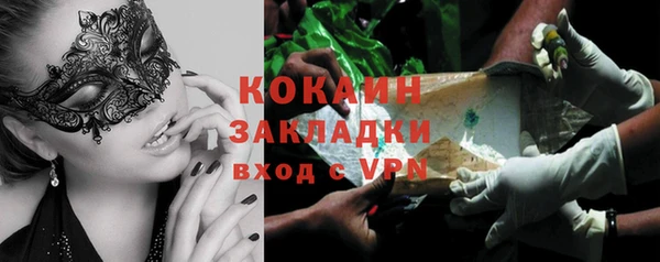 гашик Коряжма
