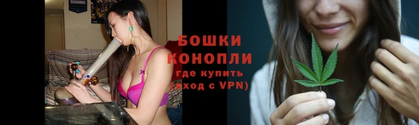 spice Кодинск