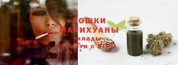 spice Кодинск