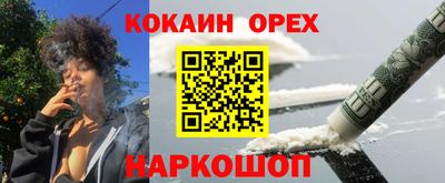 apvp Гусев