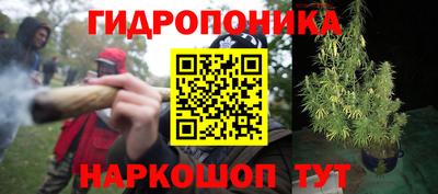 apvp Гусев