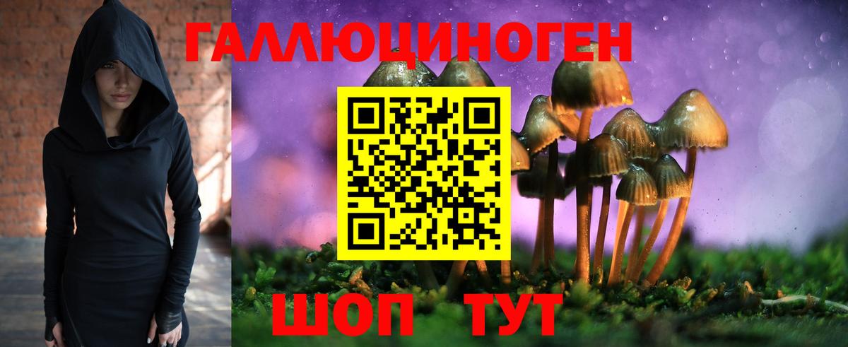 Галлюциногенные грибы Magic Shrooms  Вход с VPN  Псилоцибиновые грибы прущие грибы  Кирово-Чепецк 
