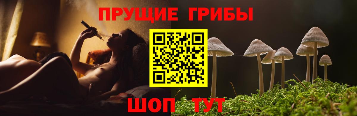 ГАШ Кирово-Чепецк